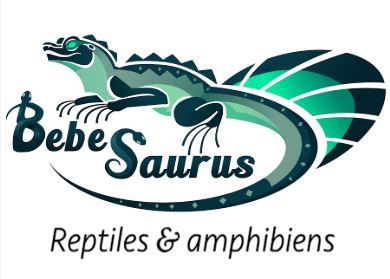 BEBESAURUS