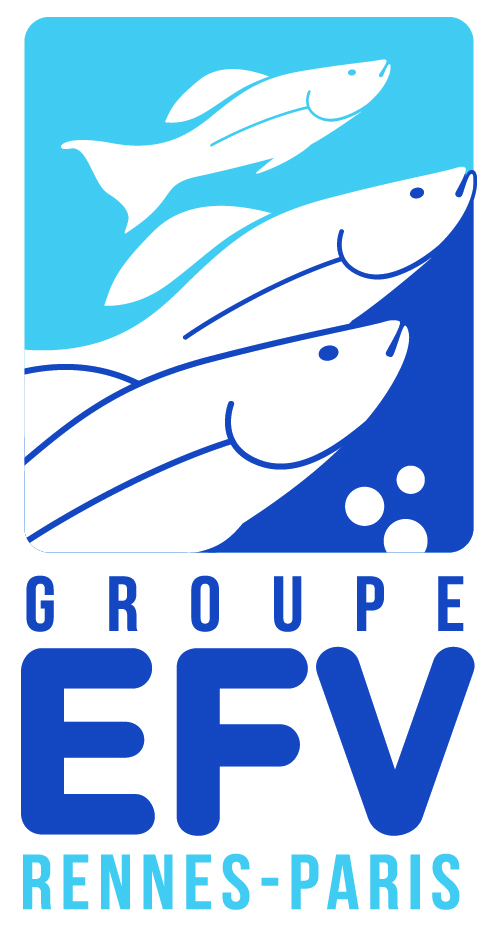 Groupe EFV